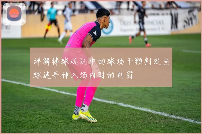 详解棒球规则中的球场干预判定当球迷手伸入场内时的判罚