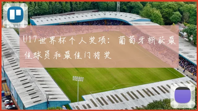 U17世界杯个人奖项：葡萄牙斩获最佳球员和最佳门将奖