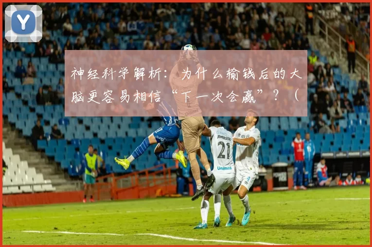 神经科学解析：为什么输钱后的大脑更容易相信“下一次会赢”？（神经科学揭示：为何输钱后大脑更笃信“下次一定能赢”？）