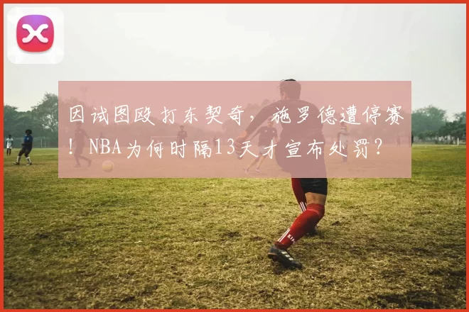 因试图殴打东契奇，施罗德遭停赛！NBA为何时隔13天才宣布处罚？