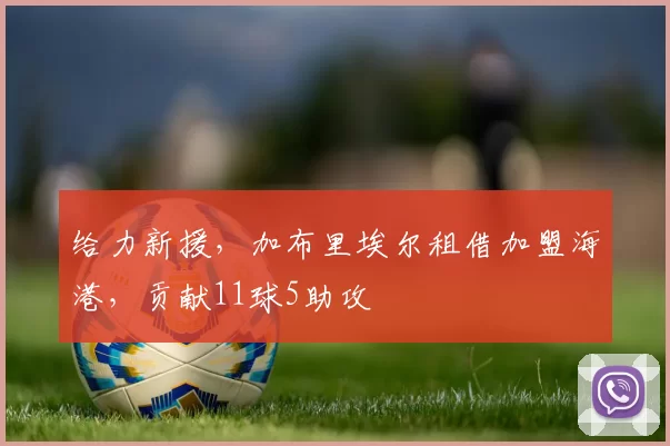 给力新援，加布里埃尔租借加盟海港，贡献11球5助攻