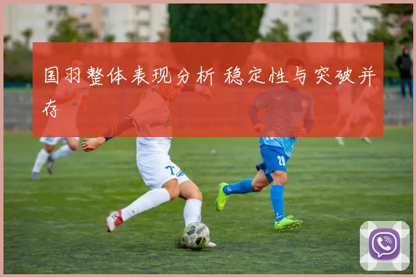 国羽整体表现分析 稳定性与突破并存