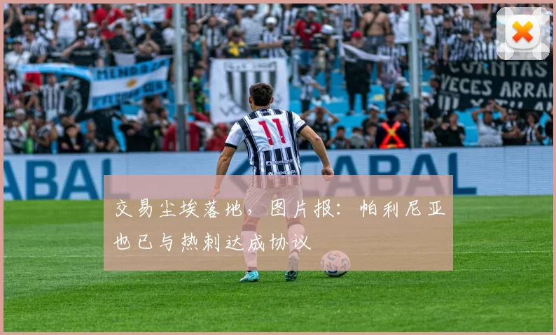 交易尘埃落地，图片报：帕利尼亚也已与热刺达成协议