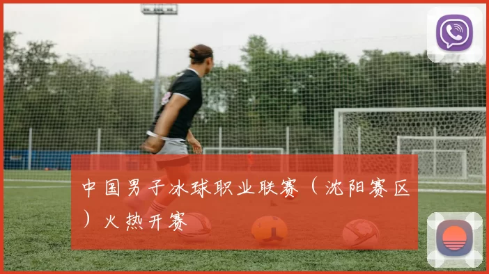 中国男子冰球职业联赛（沈阳赛区）火热开赛