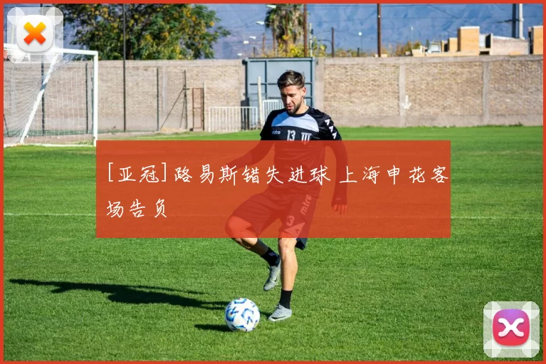 [亚冠]路易斯错失进球 上海申花客场告负