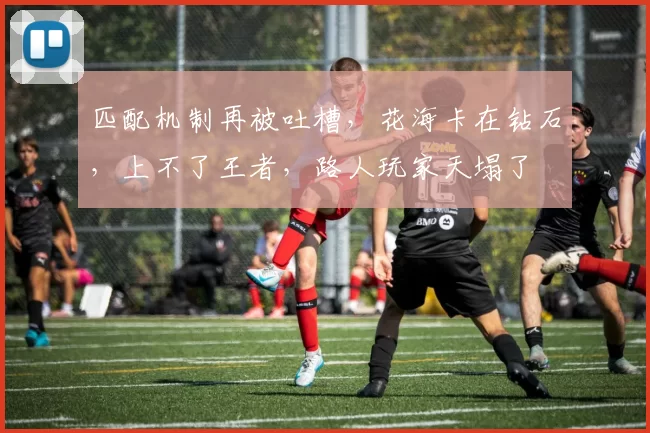 匹配机制再被吐槽，花海卡在钻石，上不了王者，路人玩家天塌了