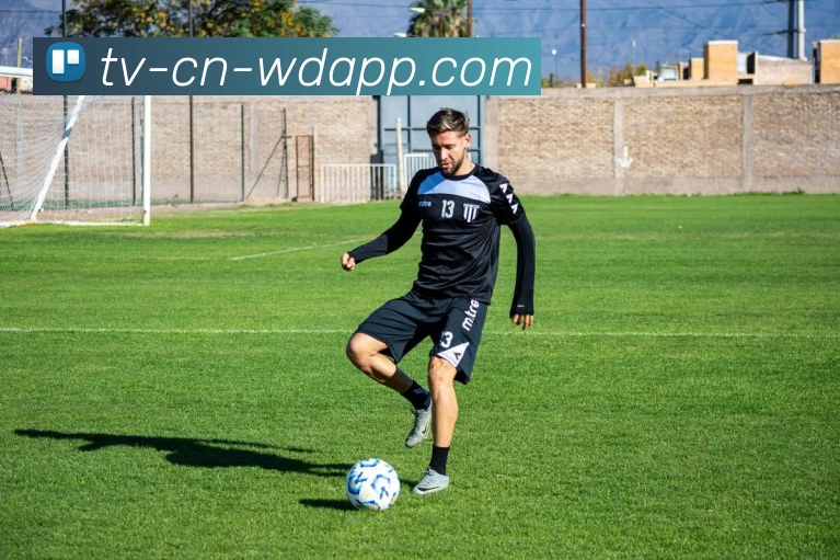 问鼎app平台生态图