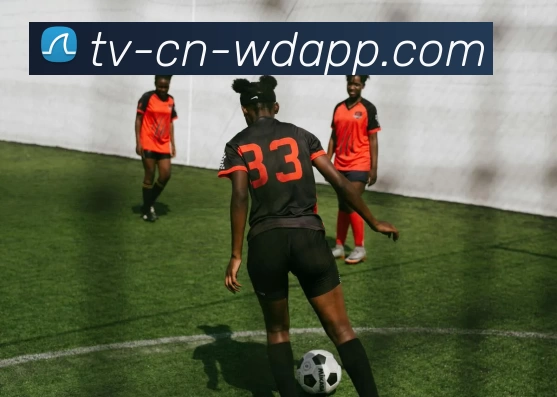 问鼎appAPP 封面图